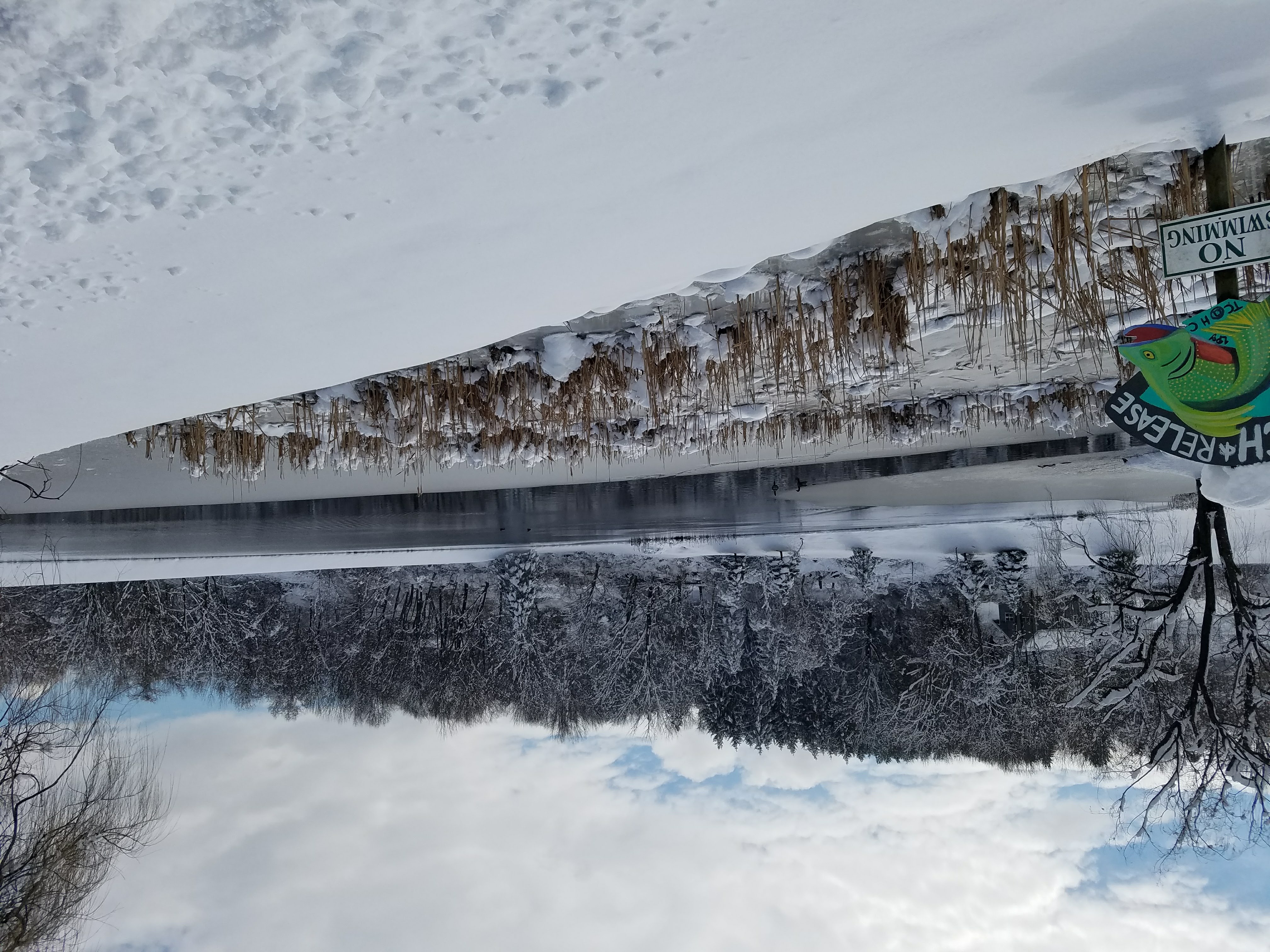 Lake1.jpg